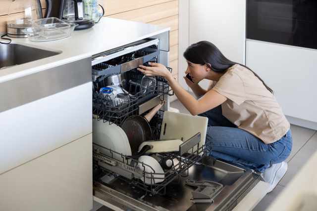 Stagnant dishwasher water pooling at the bottom Stagnant dishwasher water pooling at the bottom