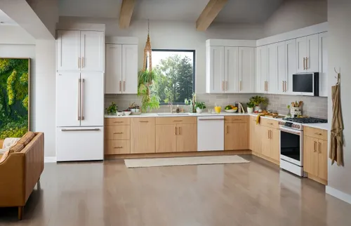 Modern White Appliances