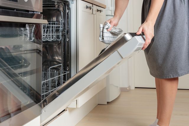 Front view of a person drying their dishwasher