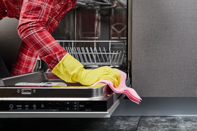 Front view of a person cleaning the inside of a dishwasher
