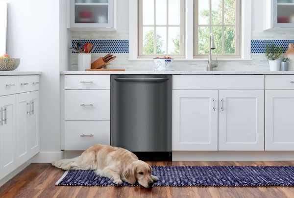 Bosch A dog in front of a Bosch dishwasher