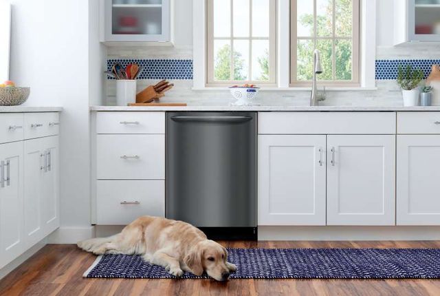 Dishwasher in Kitchen A quiet kitchen scene featuring a built-in stainless steel dishwasher among white cabinetry, with a golden retriever relaxing on a dark blue runner rug in the foreground.