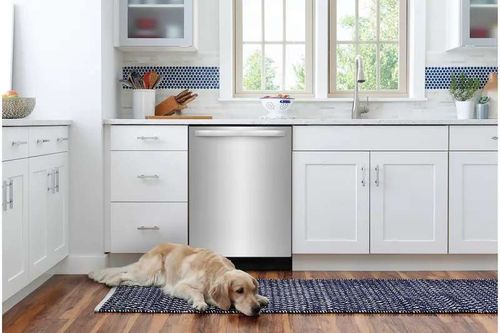 Dog Relaxing in Front of Frigidaire Dishwasher