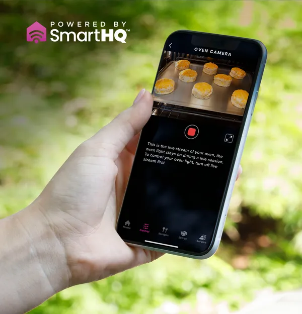 An infographic detailing the GE Profile PTS9000SNSS oven camera