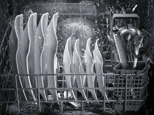 Dishwasher Cycle