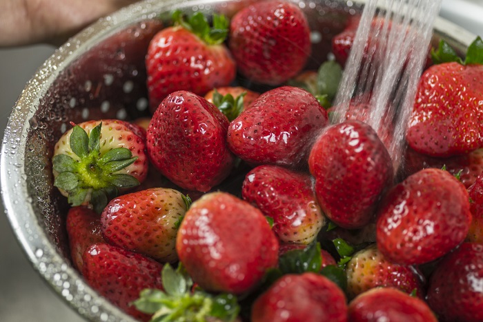 4kodiak Washing strawberries in kitchen sink.