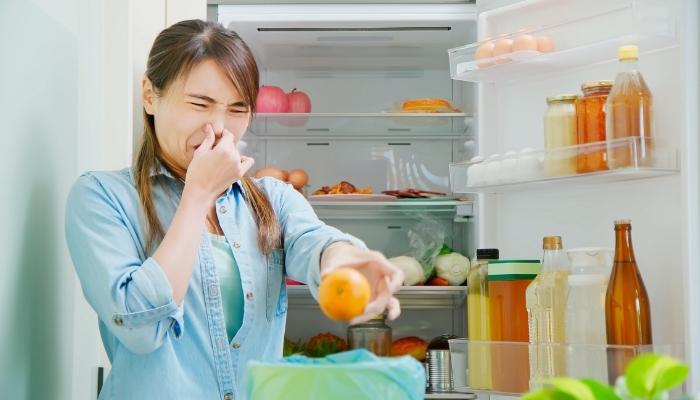 App_Places-Odors-Lurk_4.jpg Woman pinching nose while removing spoiled food from fridge
