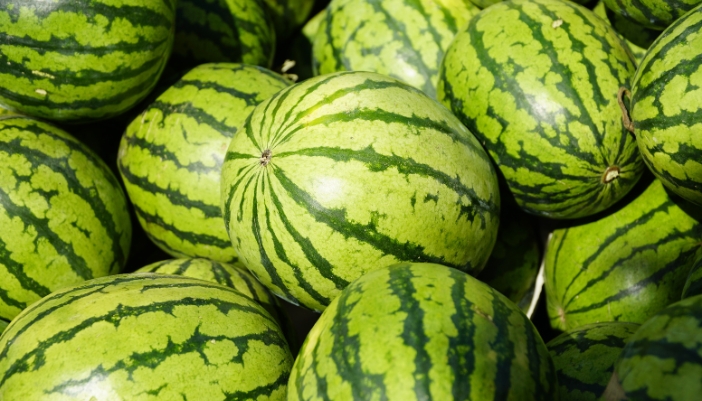 Close-up of a pile of green, ripe watermelons.