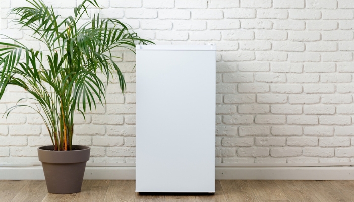 White upright freezer standing against a white brick wall next to a potted palm