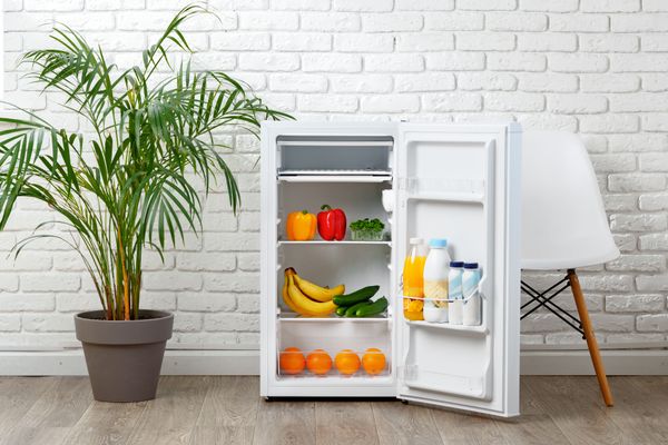 An open white compact fridge with produce next to a palm tree
