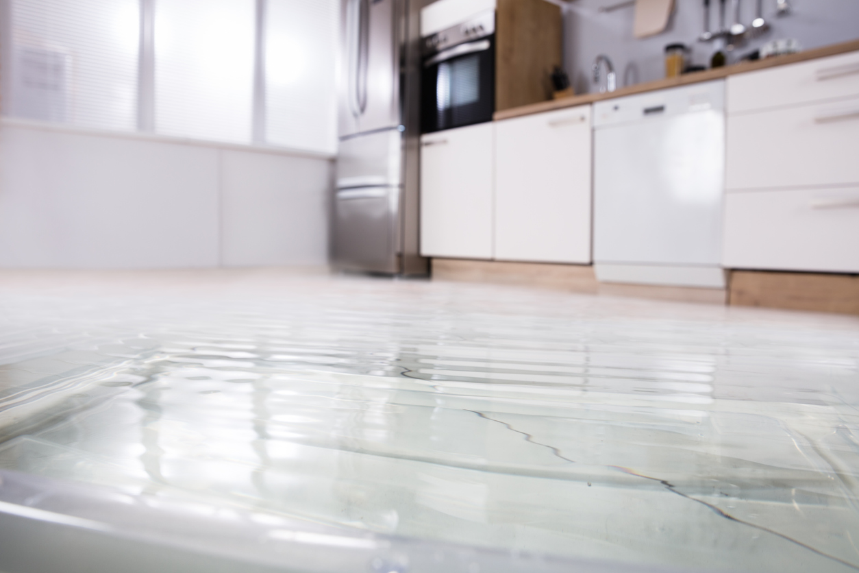 A floor full of water with a dishwasher in the background 