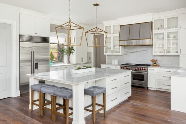 Fancy kitchen with built-in fridge