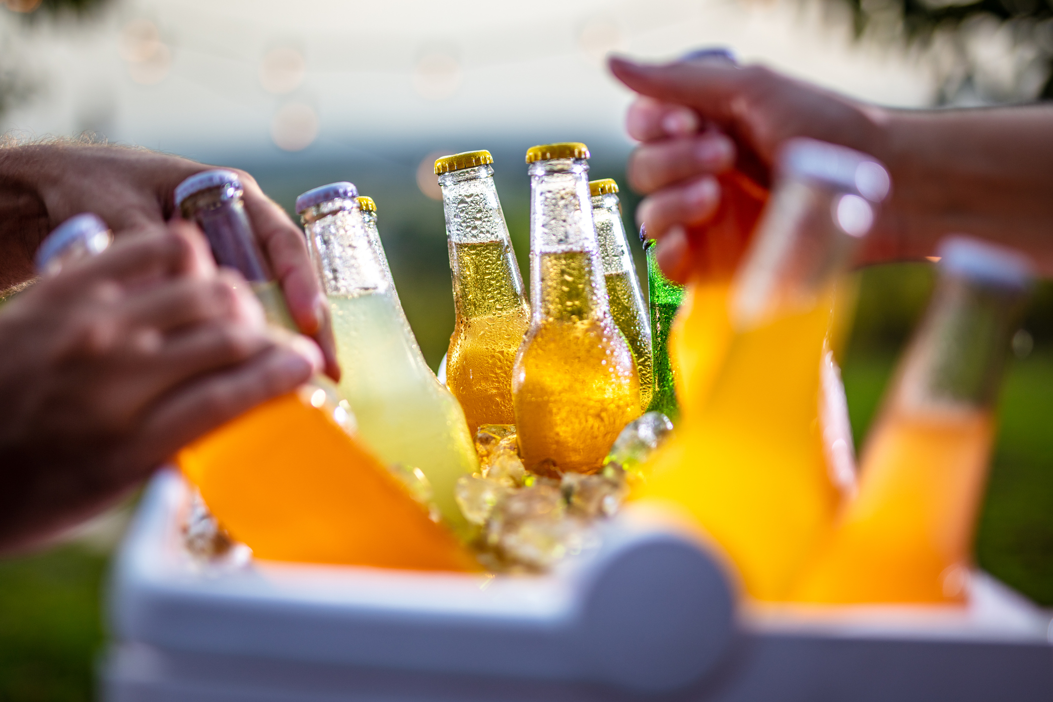 reaching for cold drinks in a cooler