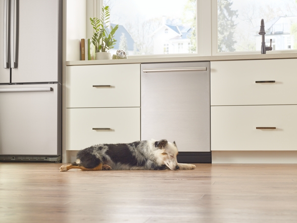 A dog sleeping in front of a Bosch dishwashser