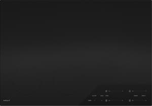 Black Wolf electric cooktop.