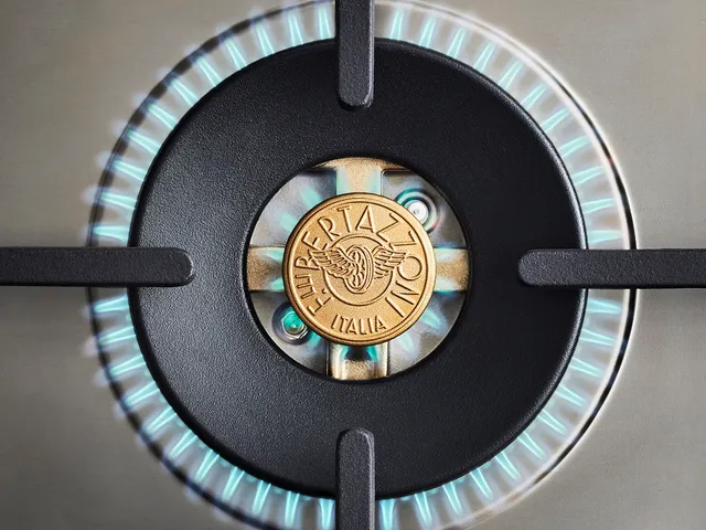 https://cdn.avbportal.com/assets/blog/blog_appliances/texas-bertazzoni-burner.webp 