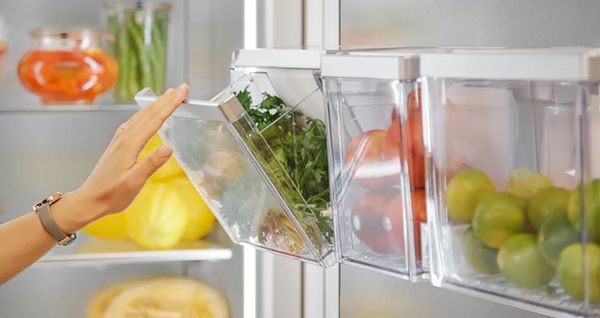 A person using Thermador door bins