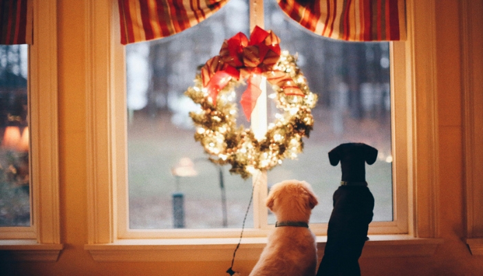 Cheers to stress-free and stylish holiday hosting!