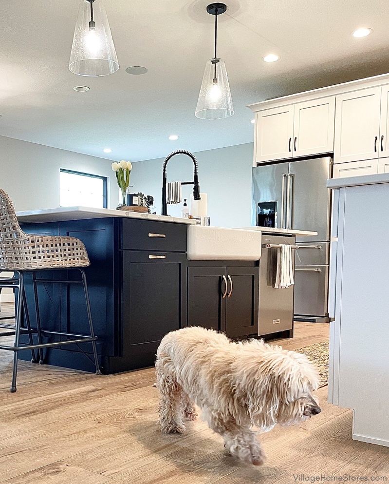 Image of white kitchen with black painted kitchen island and small tan dog in foreground. 