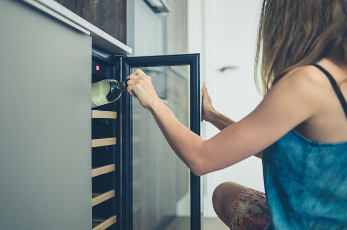 Wine coolers are ecologically friendly and a great investment.