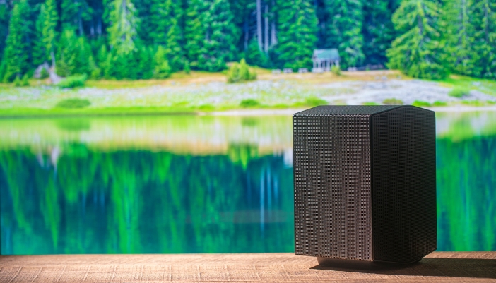 Elec_Springtime-Outdoor-Tech_2.jpg Closeup of an outdoor speaker on a backyard patio