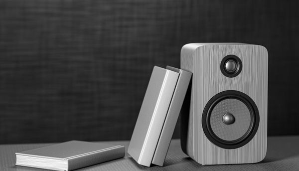 Books & Speaker Bookshelf Speaker