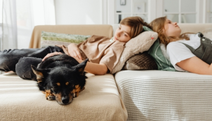 Two kids and a dog lay down on a brown couch.