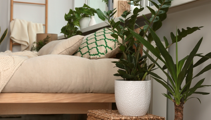 A bedroom with plants on either side of the bed