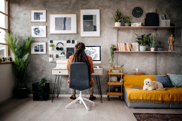 A woman facing back to the camera while working at a desk in a modern, open space