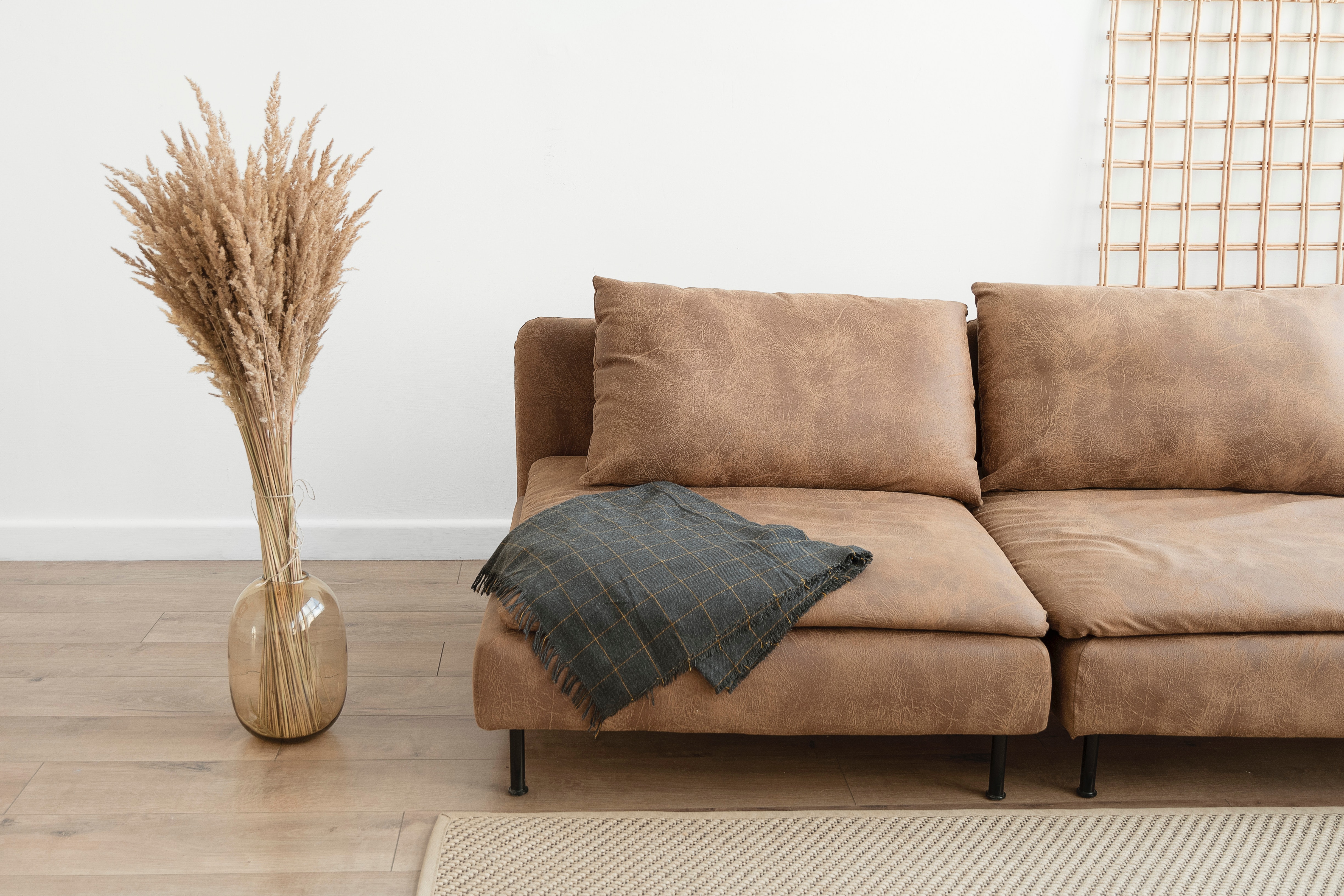Pampas grass bouquet in modern room with leather sofa