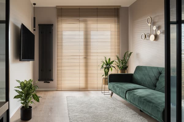 A small living room with a TV, green sofa, white rug, and décor 
