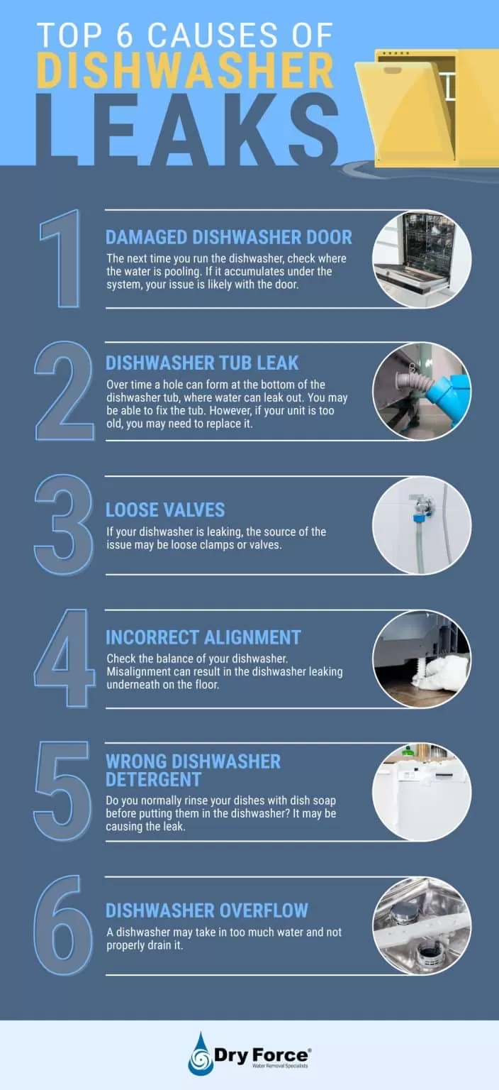 A graphic listing six common reasons a dishwasher leaks