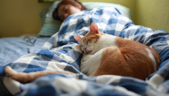  woman and her cat sleep together in bed.