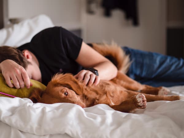 Sleeping on Bed With Dog