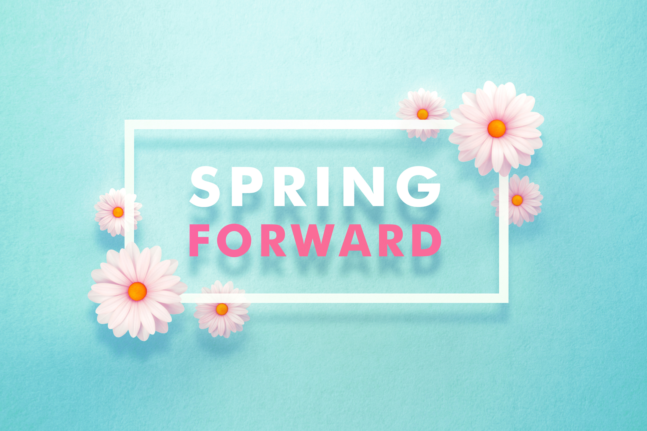 MicroStockHub spring forward sign