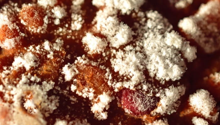 Beans touched with freezer burn