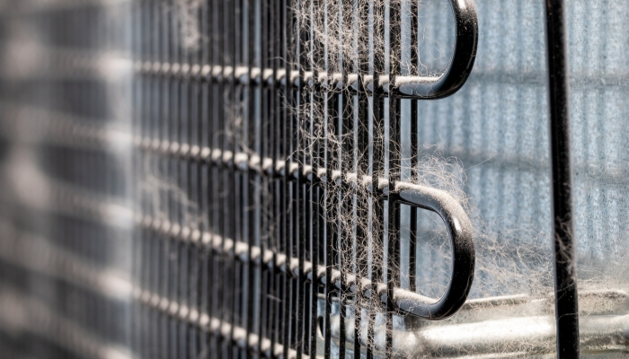 Serv_Fresh-Fridge-Steps_2.jpg Closeup of dirty fridge coils covered in dust and fur