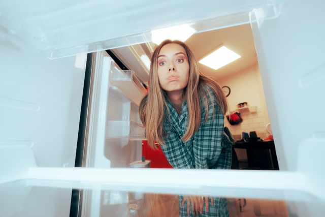 refrigerator making noise refrigerator making noise