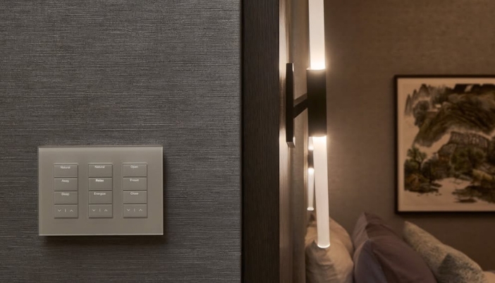 A lighting control for a home on a gray wall.