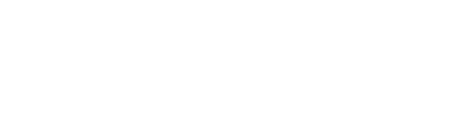Leon Logo