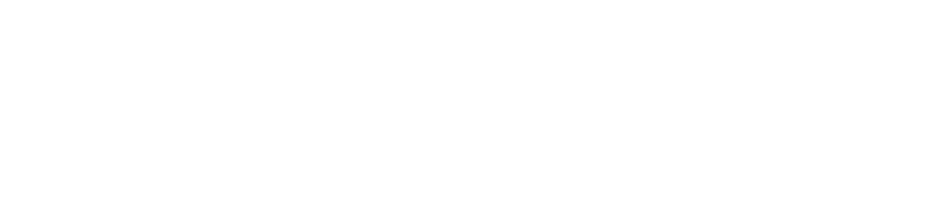 Paradigm Logo