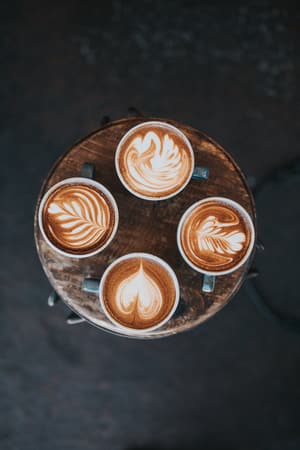 Wolf Coffee Marketing Wolf Coffee Marketing