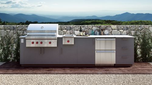 BBQ Grill Buying Guide