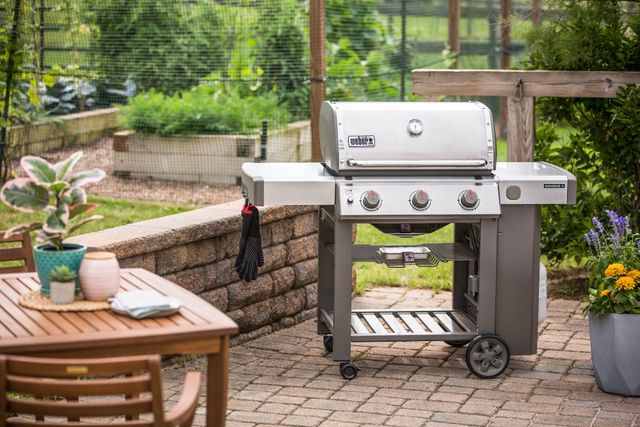 Weber Gas Grill