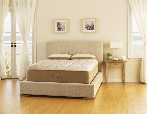 Great Sleep Guide