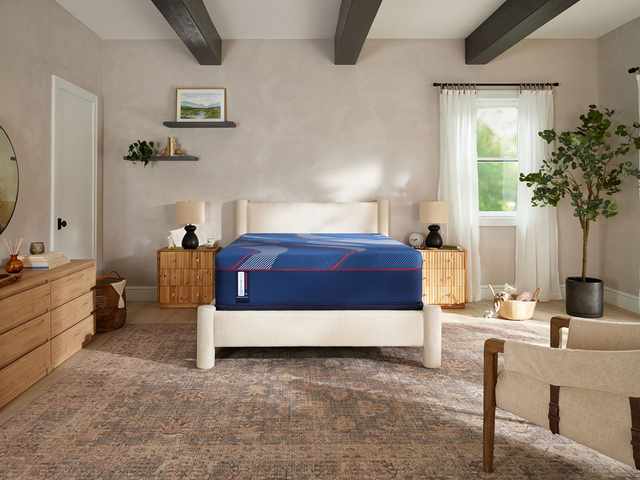 Sealy Memory Foam Mattress layers illustration