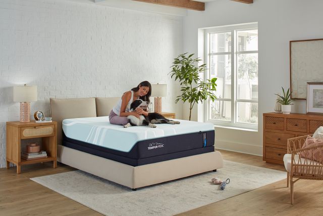 Tempur-Pedic Memory Foam Mattress