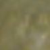 Antique Green