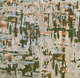Beige-Green