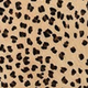 Black-Camel